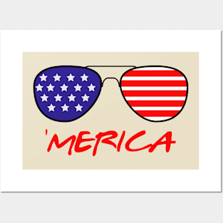 Merica 2020 Posters and Art